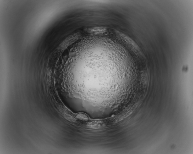 X0000098100761200804041244