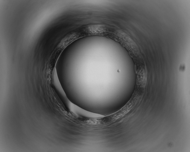 X0000098100762200804041244