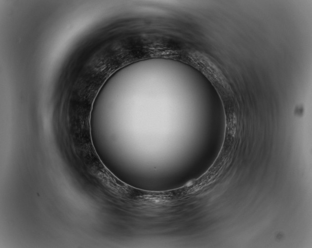 X0000098100763200804041244