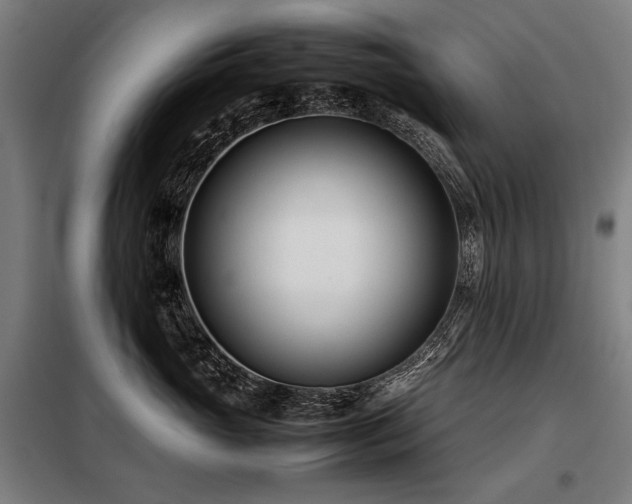 X0000098100765200804041244
