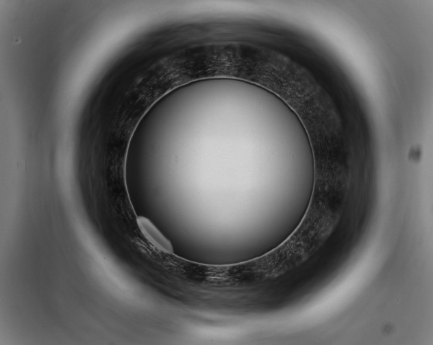 X0000098100766200804041244