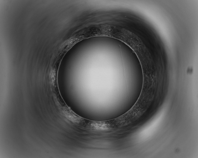 X0000098100767200804041244