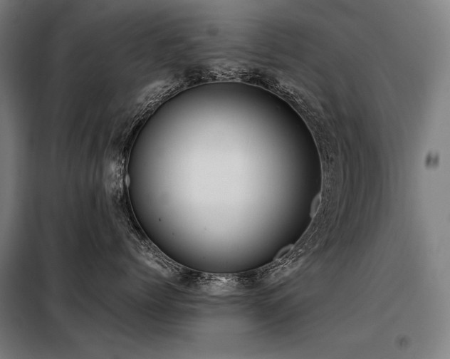 X0000098100768200804041244