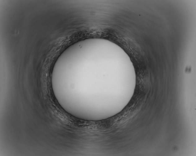 X0000098100769200804041243