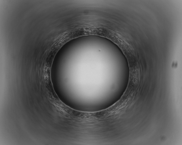 X0000098100770200804041243