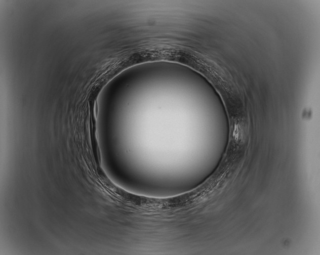 X0000098100771200804041243