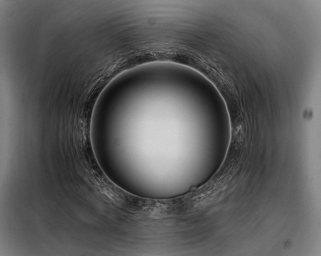 X0000098100772200804041243