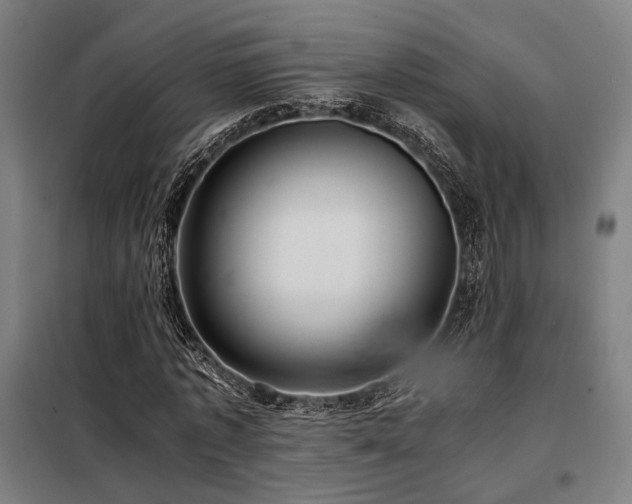 X0000098100773200804041243