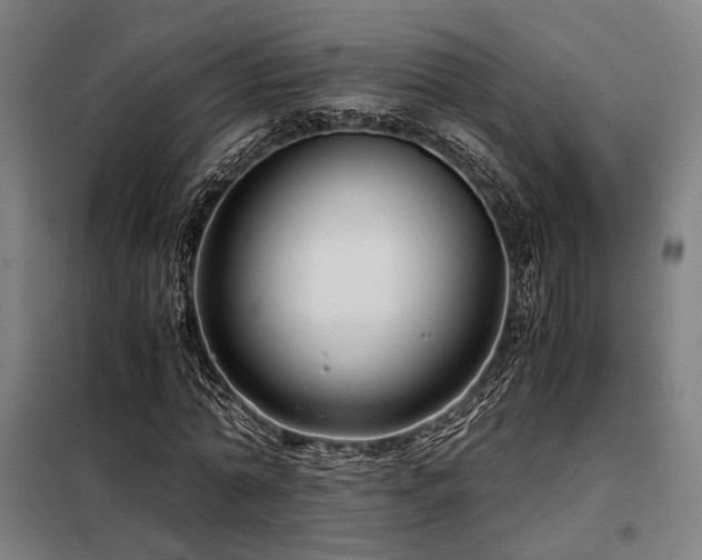 X0000098100774200804041243