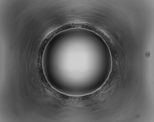 X0000098100775200804041243