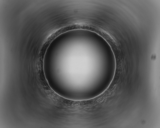 X0000098100776200804041243