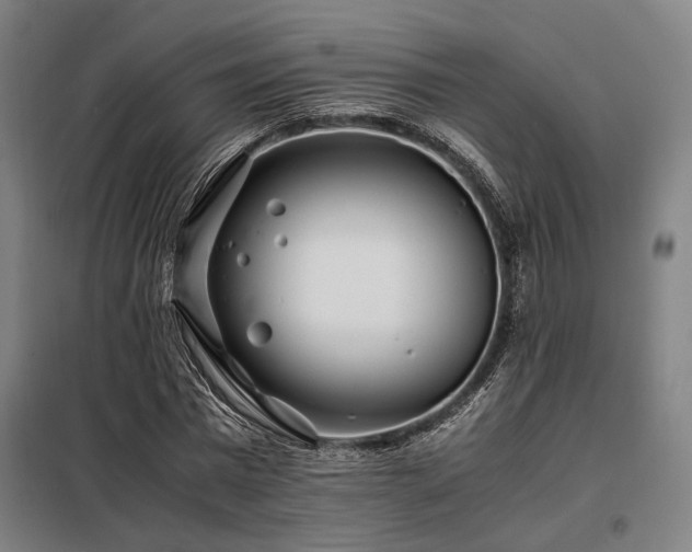 X0000098100777200804041243