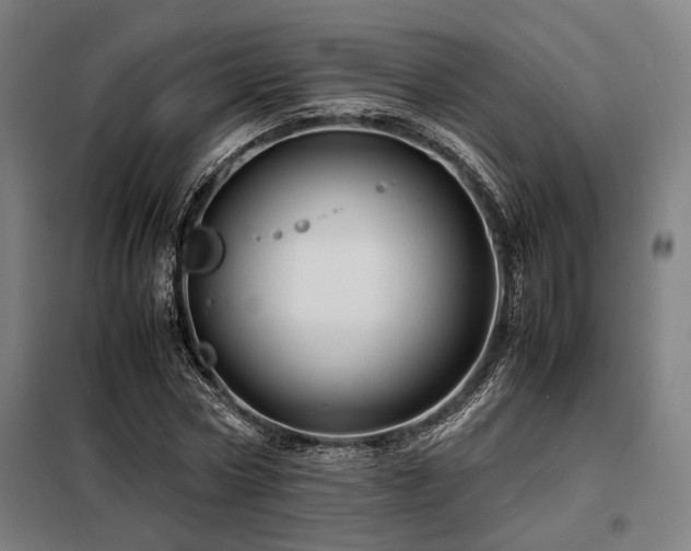 X0000098100778200804041242