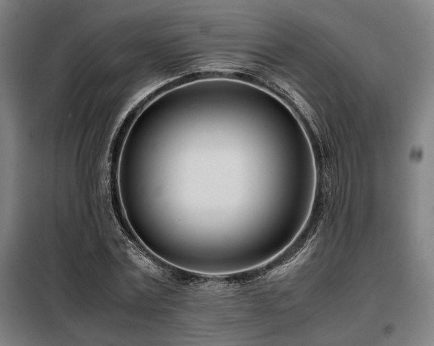 X0000098100779200804041242