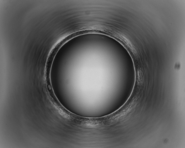 X0000098100780200804041242