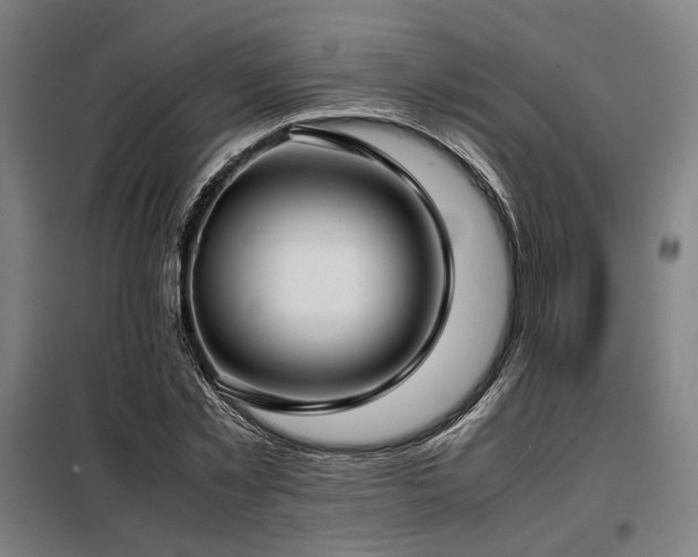 X0000098100781200804041242