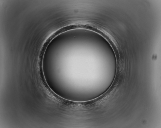 X0000098100783200804041242