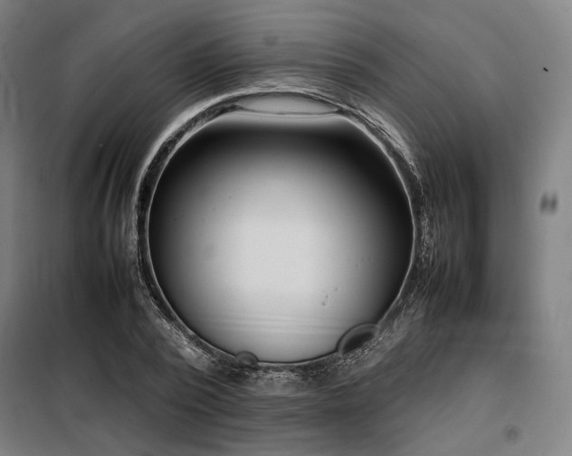 X0000098100784200804041242