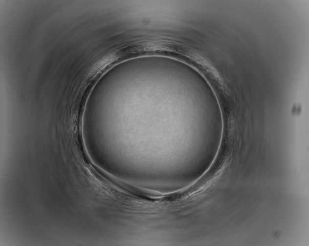 X0000098100785200804041242