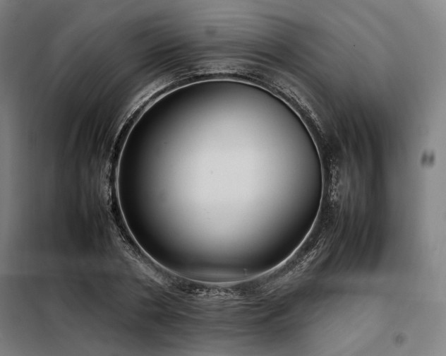 X0000098100786200804041242
