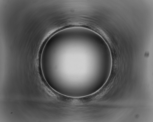 X0000098100787200804041242