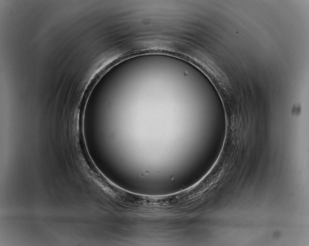 X0000098100790200804041242