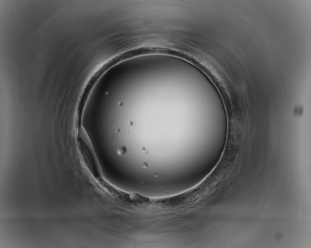 X0000098100791200804041242