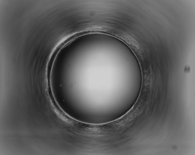 X0000098100792200804041242