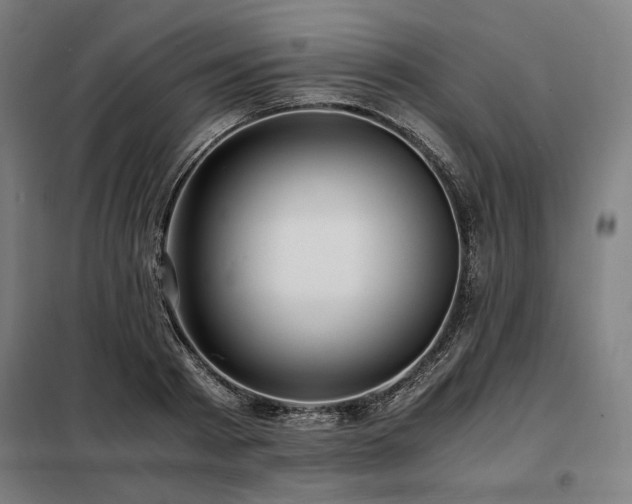 X0000098100793200804041242