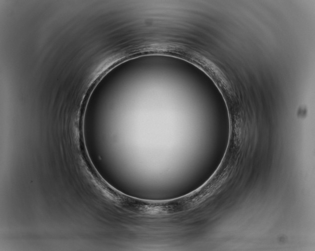 X0000098100794200804041242