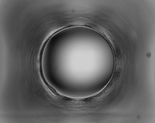 X0000098100795200804041242