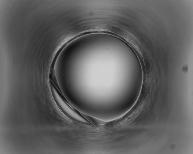X0000098100797200804041242