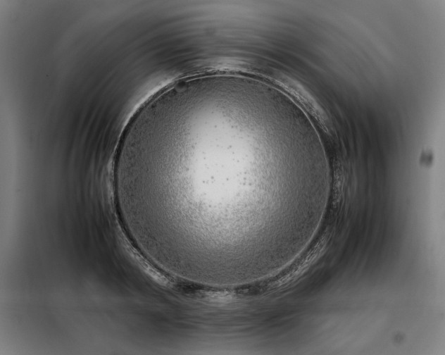 X0000098100798200804041242