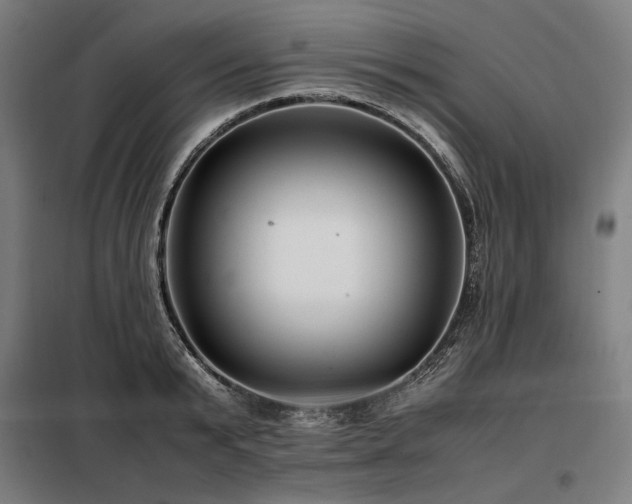 X0000098100799200804041242