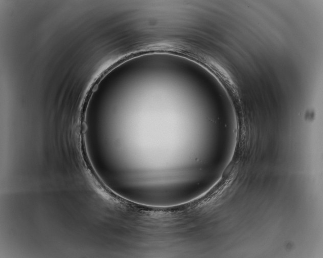 X0000098100800200804041242