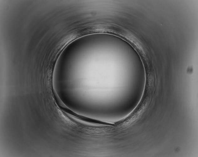X0000098100801200804041242