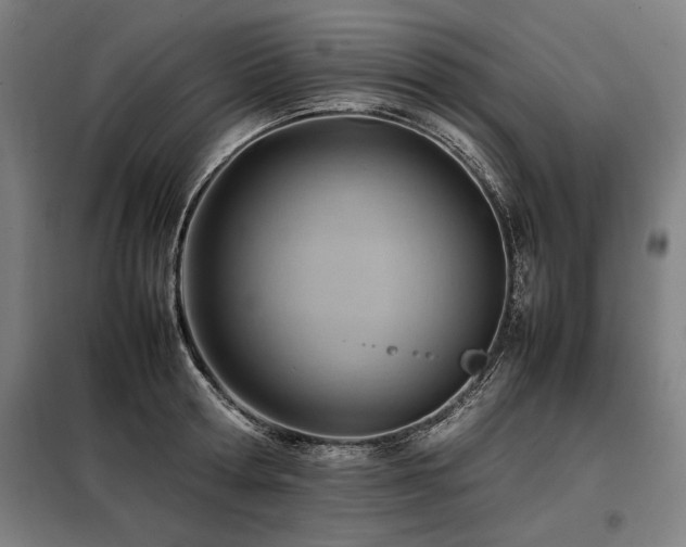 X0000098100802200804041242