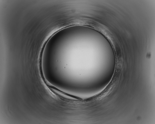 X0000098100803200804041242