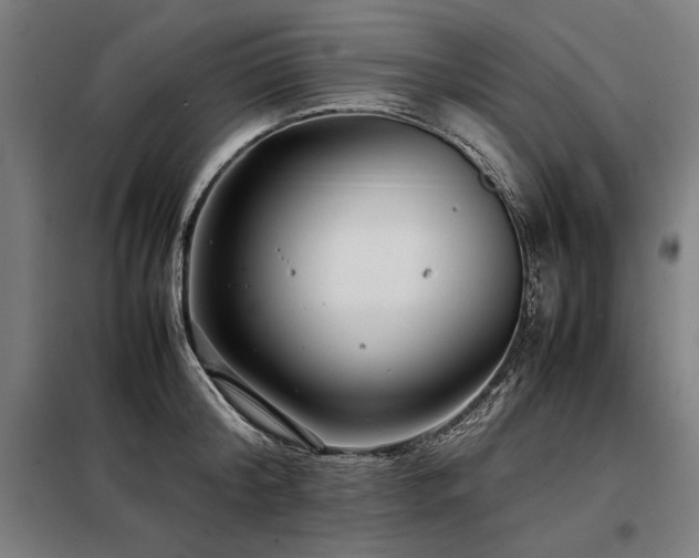 X0000098100804200804041242