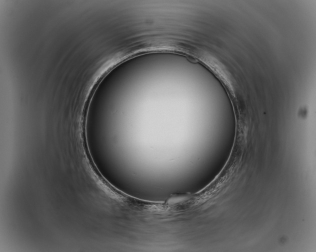X0000098100805200804041242