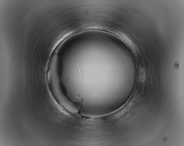 X0000098100806200804041242