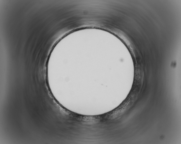 X0000098100807200804041242