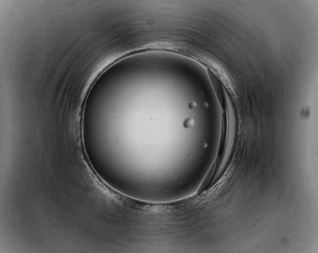 X0000098100808200804041242