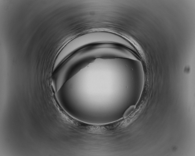X0000098100809200804041242
