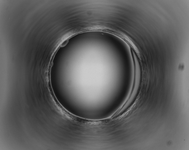 X0000098100810200804041242