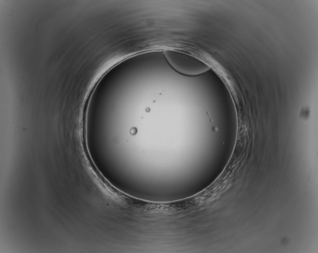 X0000098100811200804041242