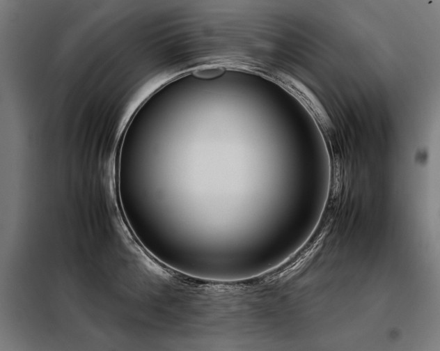 X0000098100812200804041242
