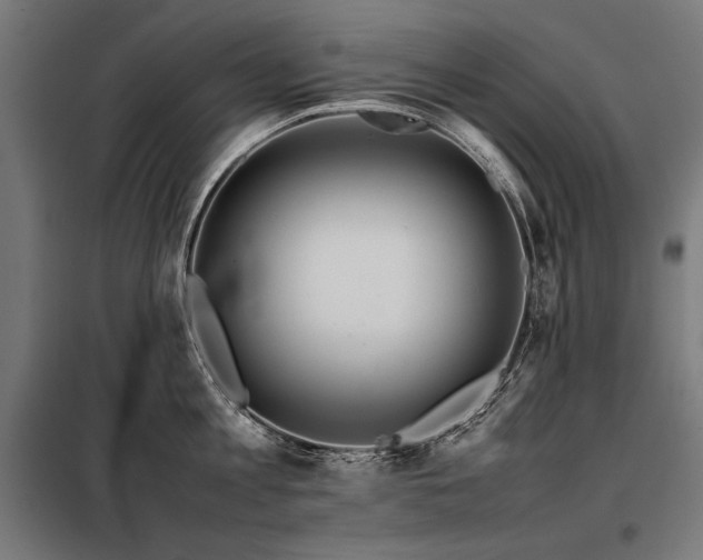 X0000098100813200804041242
