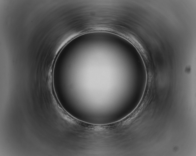 X0000098100814200804041242