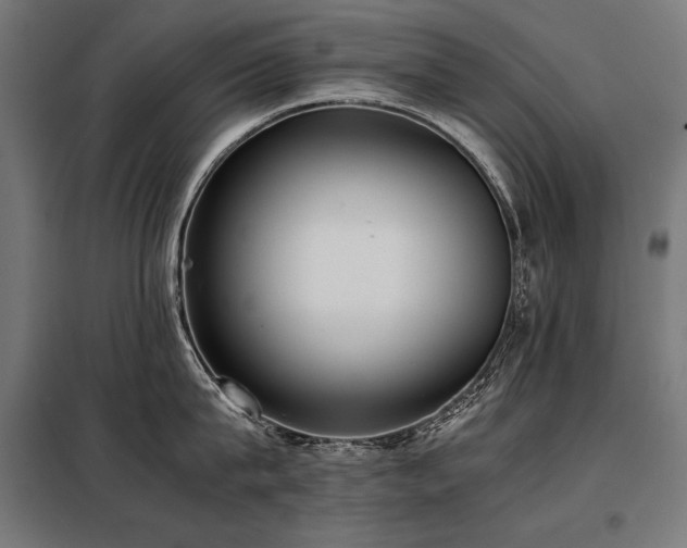 X0000098100815200804041242